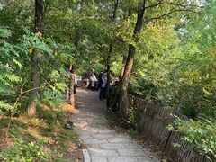 -北马山庄植趣咖啡