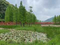 -广州市石门国家森林公园
