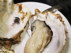-大富蚝乌东哥饭店·石锅鱼杂·柠檬鸭(革新路店)