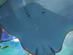 -石林冰雪海洋世界