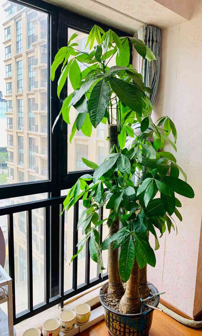 艾兰慕德(亚运村店)