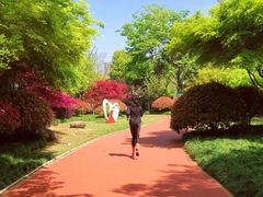 -杭州城北体育公园