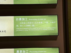 -中国茶叶博物馆(双峰馆区)