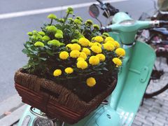 -OZ cafe(南昌路店)