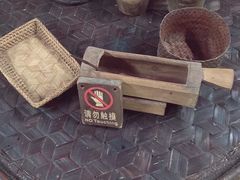 -西双版纳原始森林公园