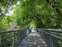 景点-佛山华盖山公园