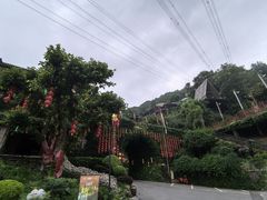 -巴倒烫陆派火锅山庄(南山总店)