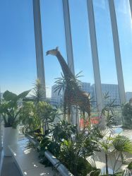 -IMON·HANSA潮玩玩偶毛绒玩具(通州万象汇店)