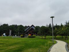 -铁山坪森林公园