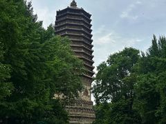 -玲珑塔公园