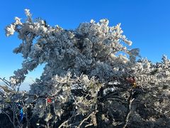 -安吉龙王山风景区