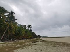 -东郊椰林