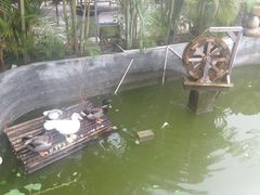 -小象钓虾·营地烧烤(洛溪店)
