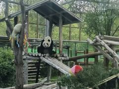 -鄂尔多斯野生动物园