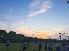 -眼镜哥浦江夜宵大本营