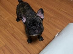 -喵汪宠物生活馆(涞坊路店)