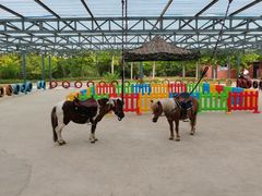 -渔岛海洋度假区