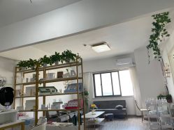 -凡碧诗毛孔收细