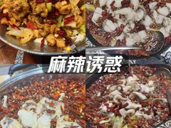 -金三可市井水煮鱼(金碧园店)