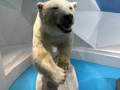 -青岛海底世界-水族馆