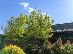 -内蒙古将军衙署博物院