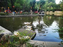 -西安市长乐公园