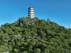 -深圳国际园林花卉博览园