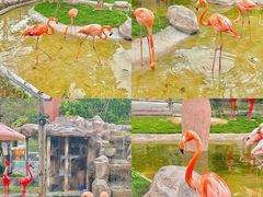 -灵玲国际马戏城