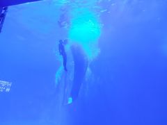 -多彩贵州城极地海洋世界