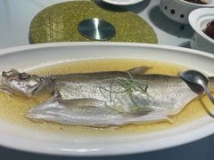 -席家花园(巨鹿花园店)