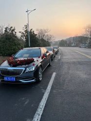 -蚂蚁婚车