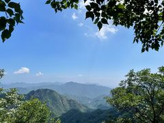 -大岭沟猕猴桃谷风景区