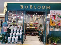 -BOBLOOM花店(宝龙旭辉广场店)