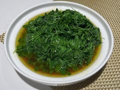 酒香金花菜-欣旺·迎宾楼·百年无锡菜