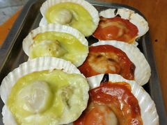 经典芝士日式青芥扇贝-炒豆合作社(东四总店)