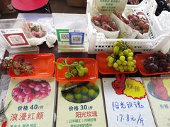 -马陆小张葡萄园农家乐