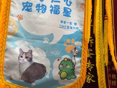 -瑞鹏宠物医院·骨外科·心肾科·肿瘤科(九亭店)