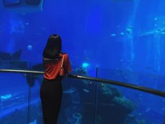 -成都浩海立方海洋公园