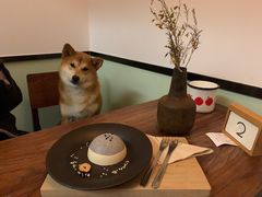 -知亘茶食