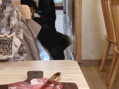 -柴の食堂·日式家庭料理·熊之肆(大学路店)