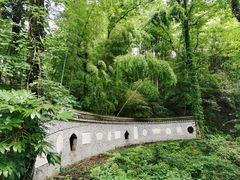 -大围山国家森林公园