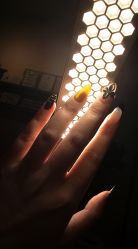 -Wax Brow蜜蜡脱毛美甲美睫眉吧