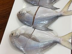 -肥婆麻辣火锅.顺德首创药材麻辣火锅(容桂店)