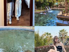 -罗浮山嘉宝田森林温泉度假酒店