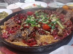 -老板恋上鱼(环山路店)