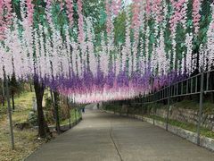 -北京十三陵国家森林公园蟒山景区