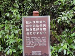 -峨眉山风景名胜区