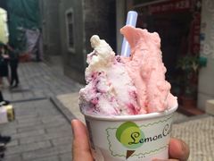 -柠檬车露(卖草地店)