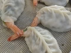 -小叶大馅饺子城