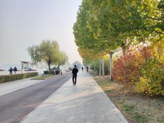 -武清南湖绿博园